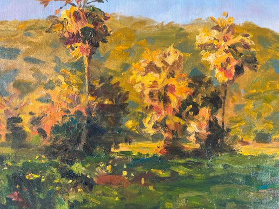 “A Dialogue Between Light and Shadow at Dusk”