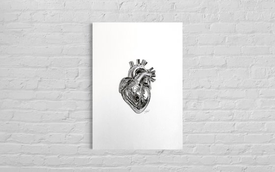 “Chromatic Heart”