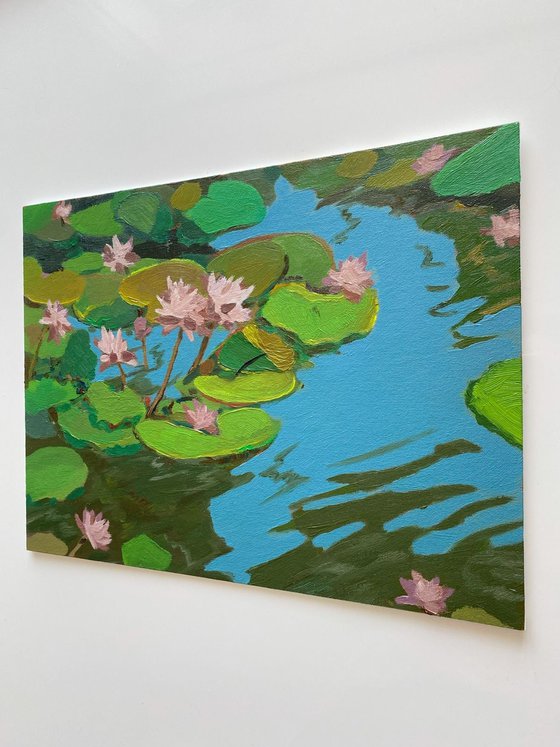 Lotus flowers