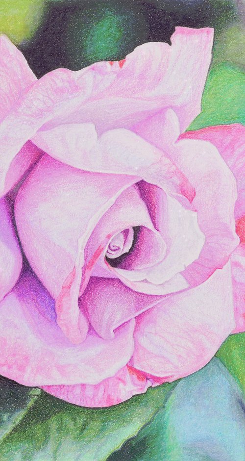 Soft Bloom by Paramjeet Kaur