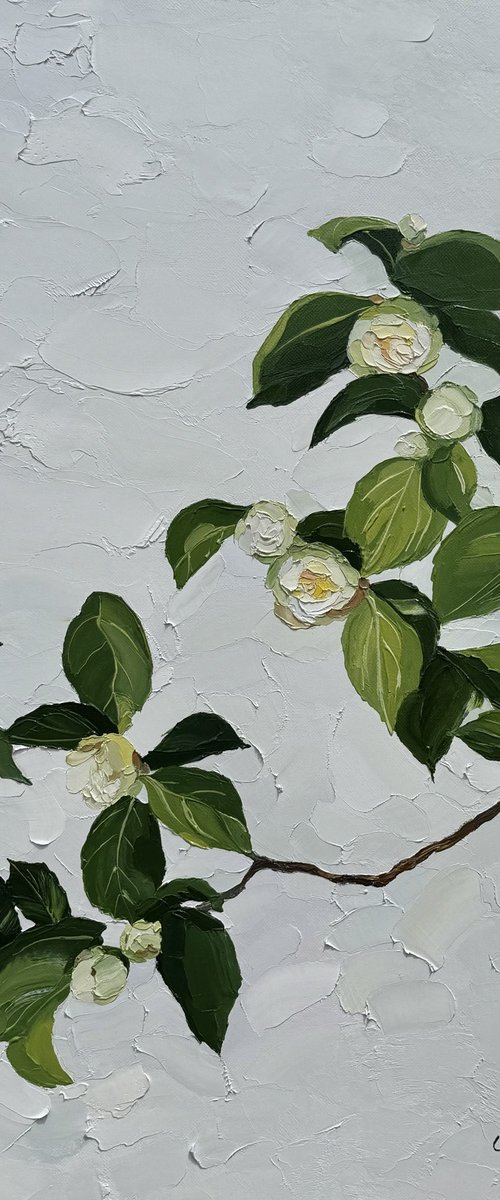 Before unfolding by Ulyana Korol
