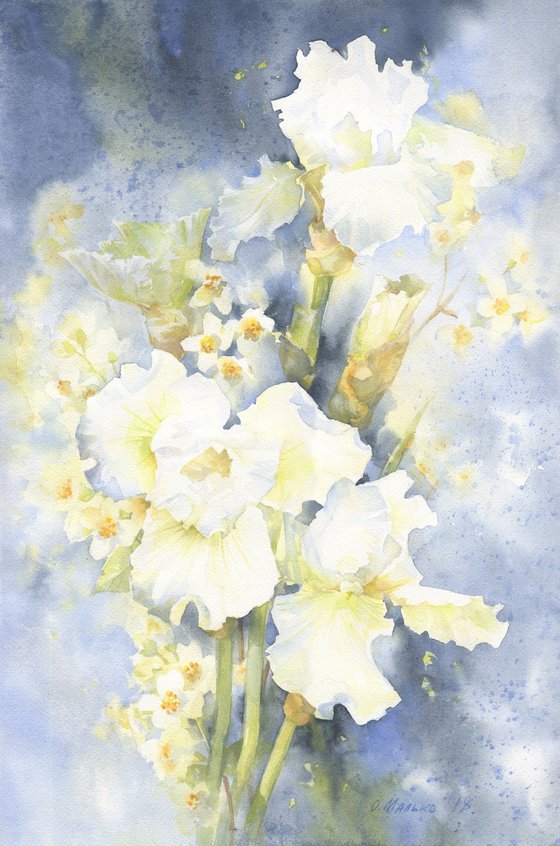 Winter dreams (White irises)