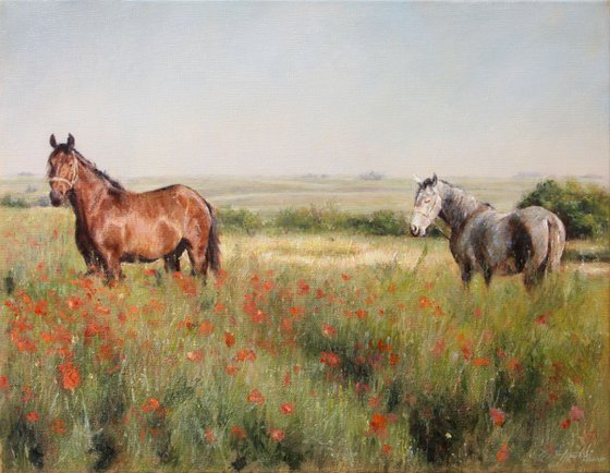 Horses in a Poppy field