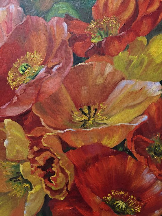 Poppies, Original oil painting