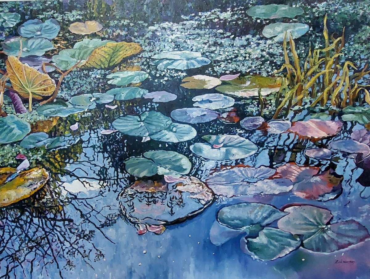 Waterlilies on the Pond by Zoe Elizabeth Norman