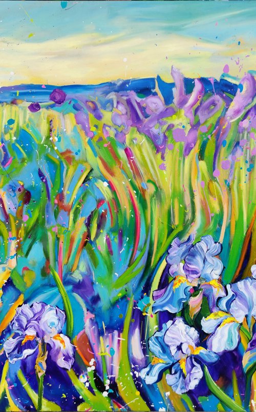 Iris Fields by Angie Wright