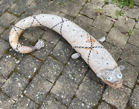 THE CATFISH OF GALATEA