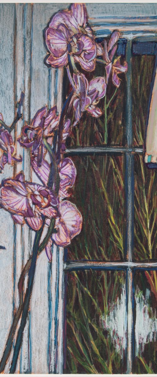 Still life with Orchids and Towel by Ishai Rimmer