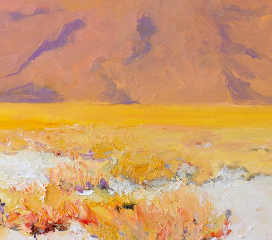White, Sandy Desert