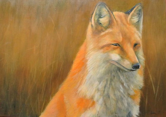 'In long Grass', Fox Painting, Framed and Ready to Hang