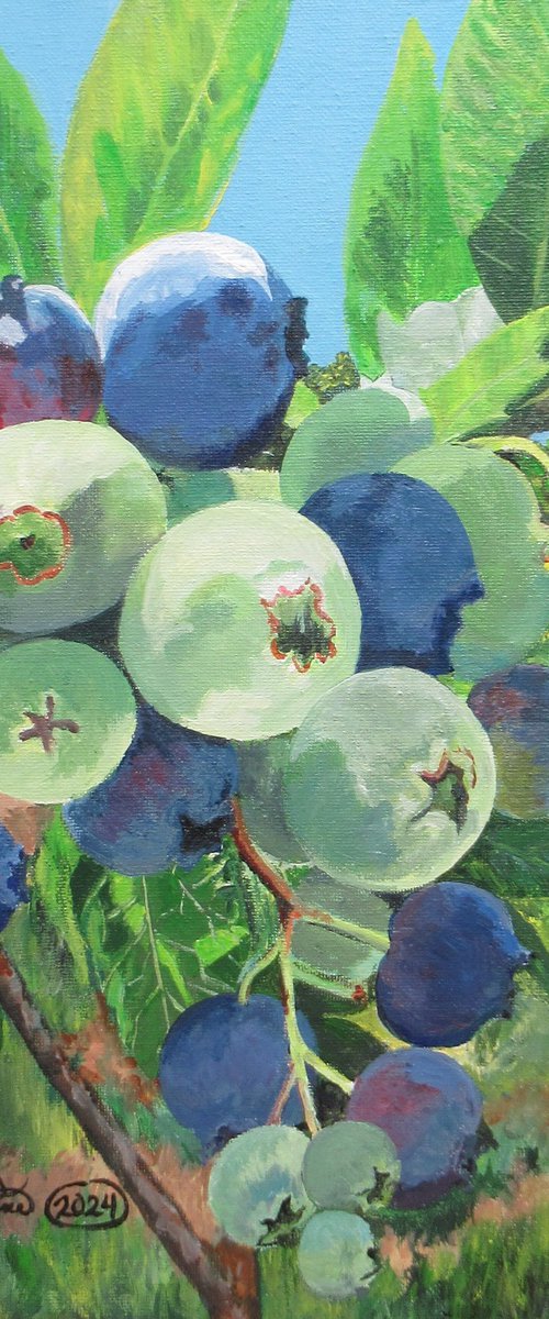 Blueberries by Nina Elaine Thompson