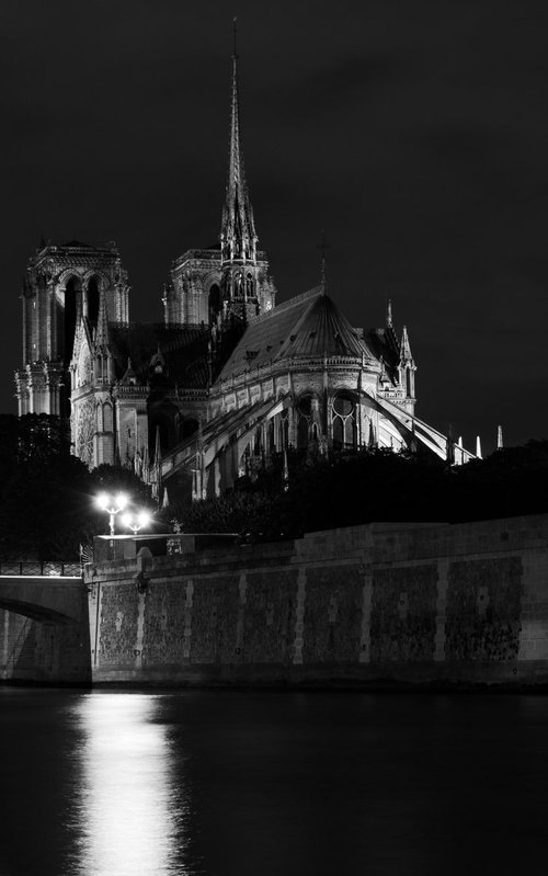 Notre Dame de Paris [Framed; also available unframed] by Charles Brabin