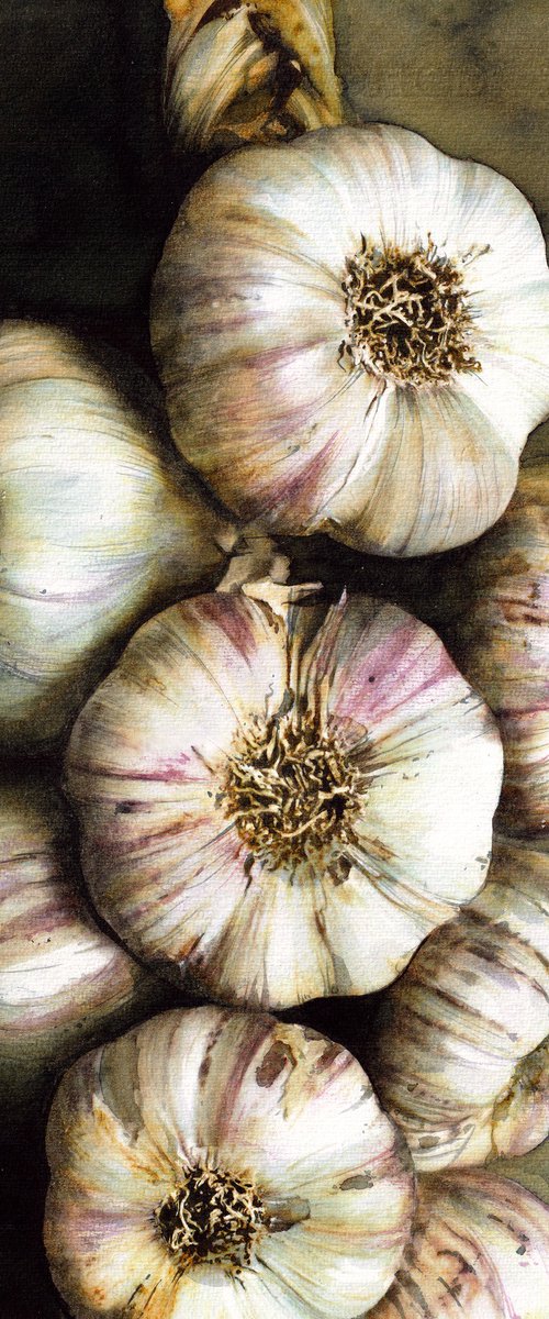 Old BG Garlic by REME Jr.