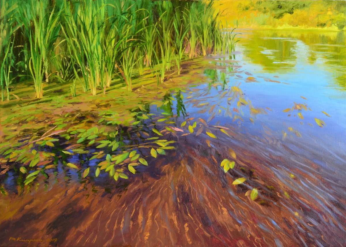 Impressionistic Landscape Oil Painting By Ruslan Kiprych, 28 X 20", Coastal Sandbank, Original Artwork