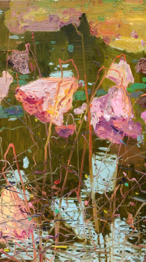 Waterlilies in pond 190 by jianzhe chon