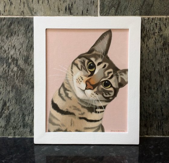 Doolally Cat