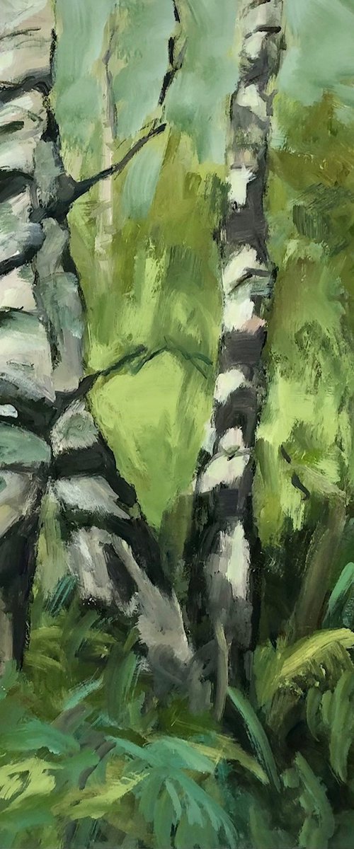 Silver Birches by Joanna Farrow