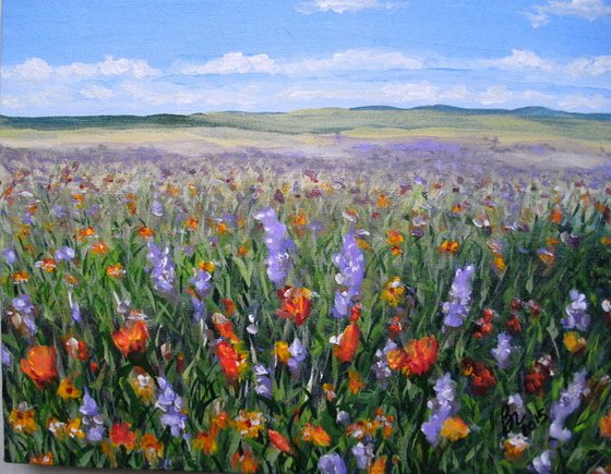 Flowery Field - SOLD