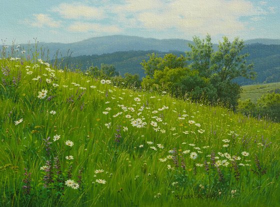 Floral spring meadow