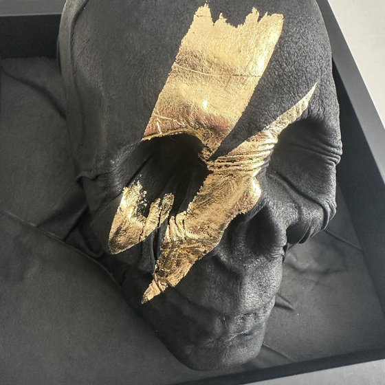 Skull Of Ziggy Stardust