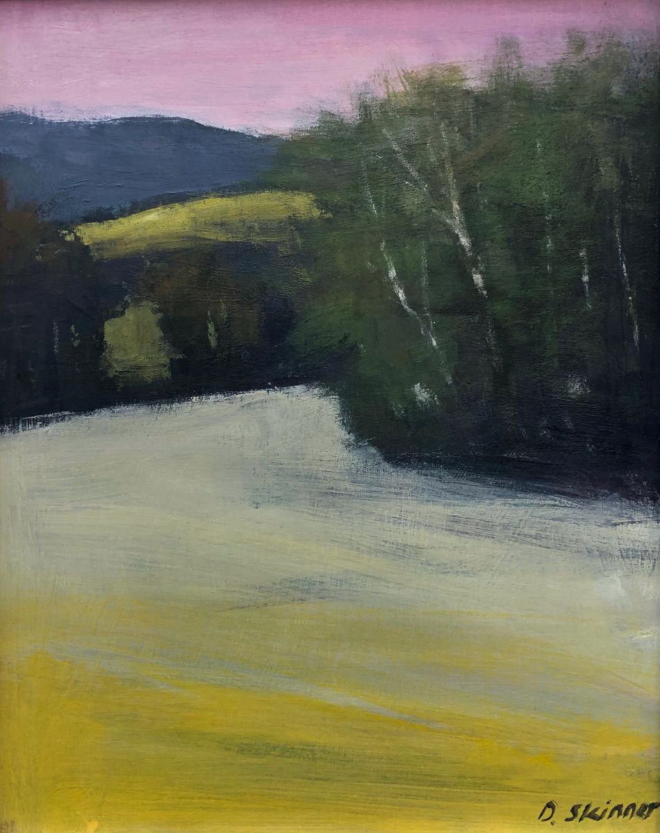 Still Meadow by David  Skinner