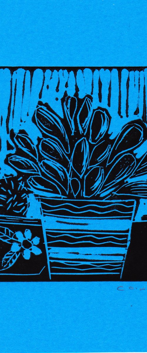 Cactus Pot  on a blue background by Catherine O’Neill