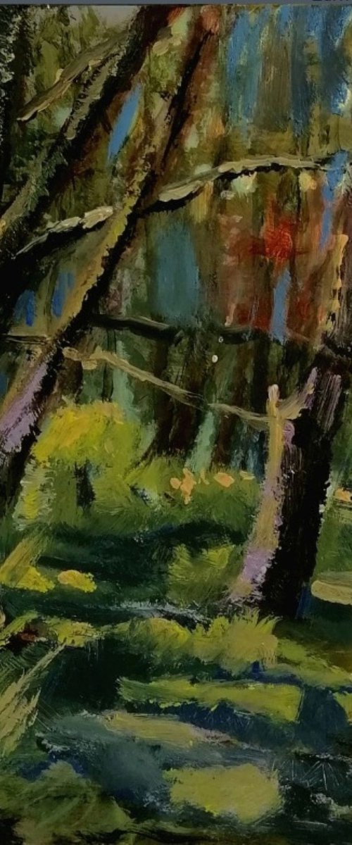 Woods by Alan Harris