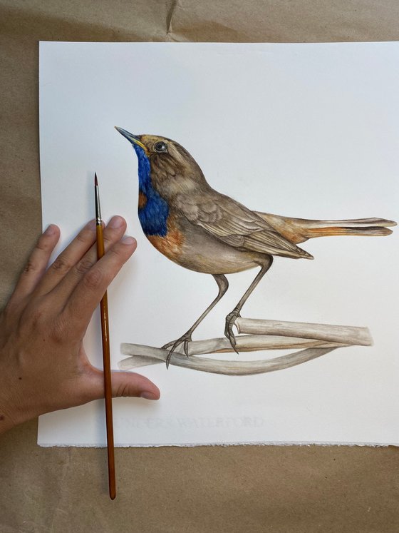 The Power of Intention