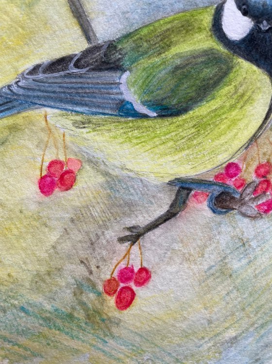 Tit Original Painting, Bird Watercolor Pencils Artwork, Animal Wall Art, Winter Picture