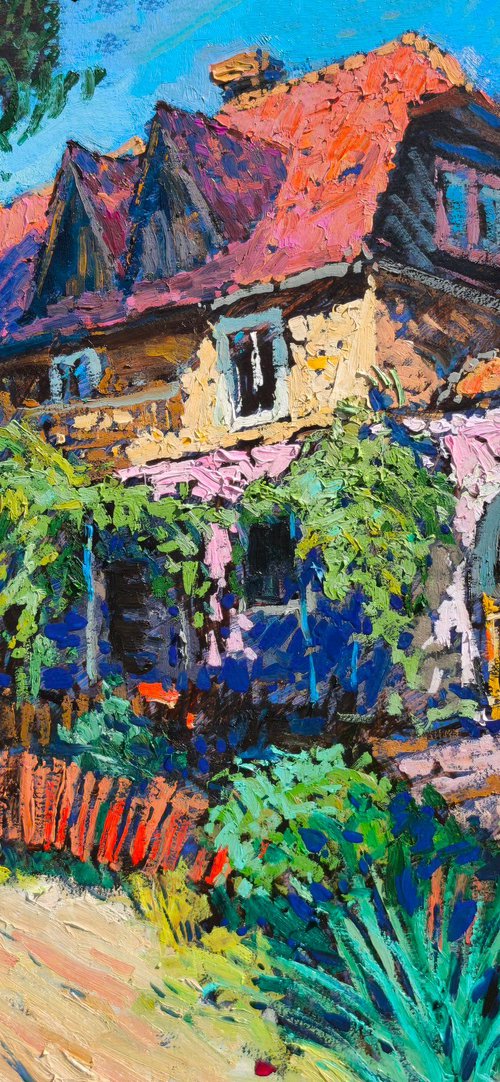 Khust Town by Alexander Shandor