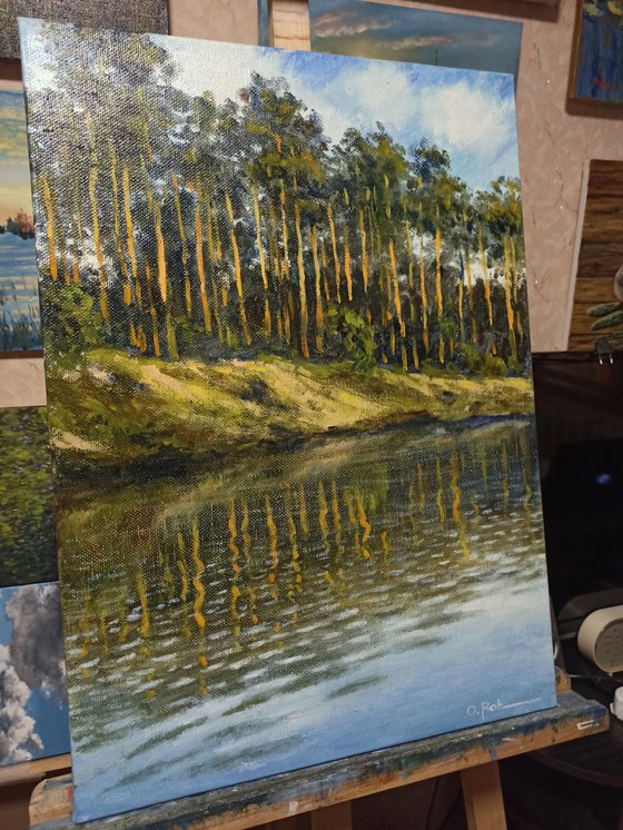 Pine trees by the river 2