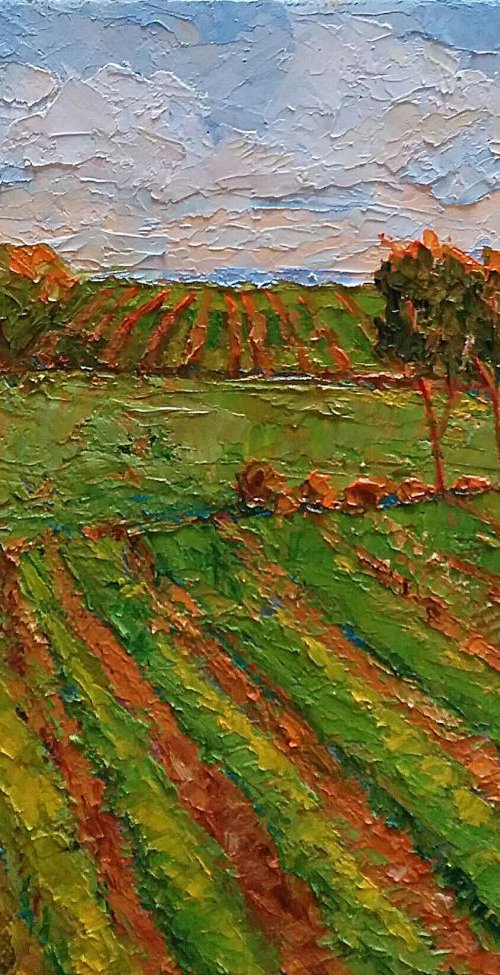 California  Vineyards Landscape, "Napa Morning" by Padmaja Madhu