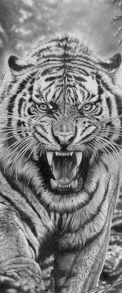 Jungle Tiger by Paul Stowe