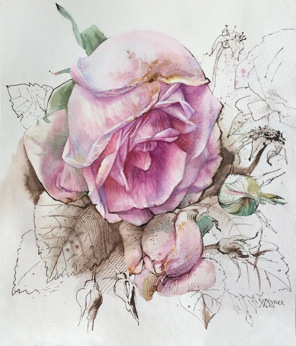 Rosehip. Pink wild rose painting. by Natalia Veyner