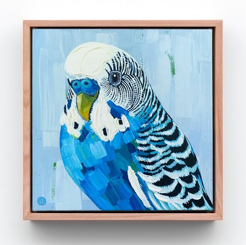 Budgie Beauties: Waffles by JULIE LYNCH