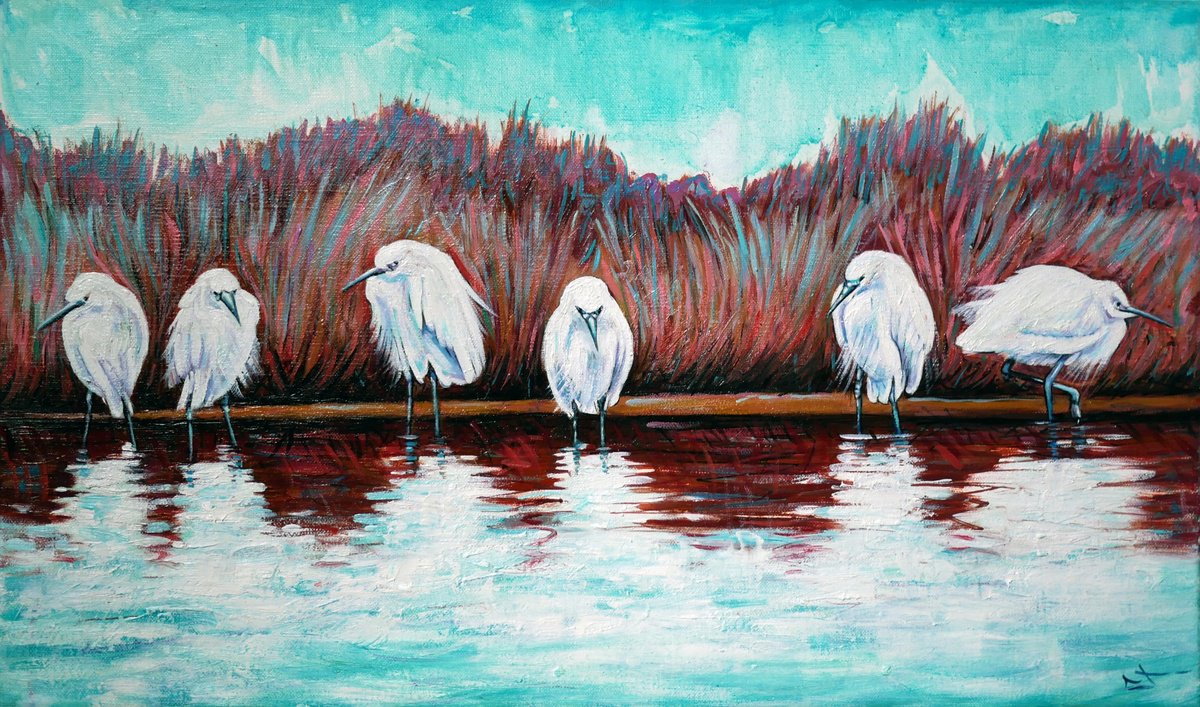 Egrets in Camargue by Lionel Le Jeune