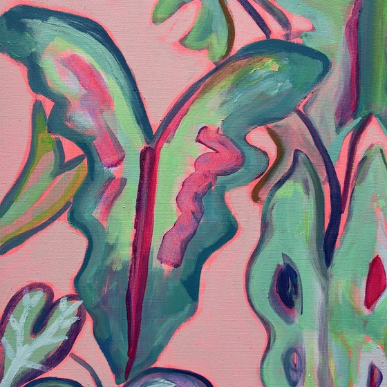 Alocasia Study III