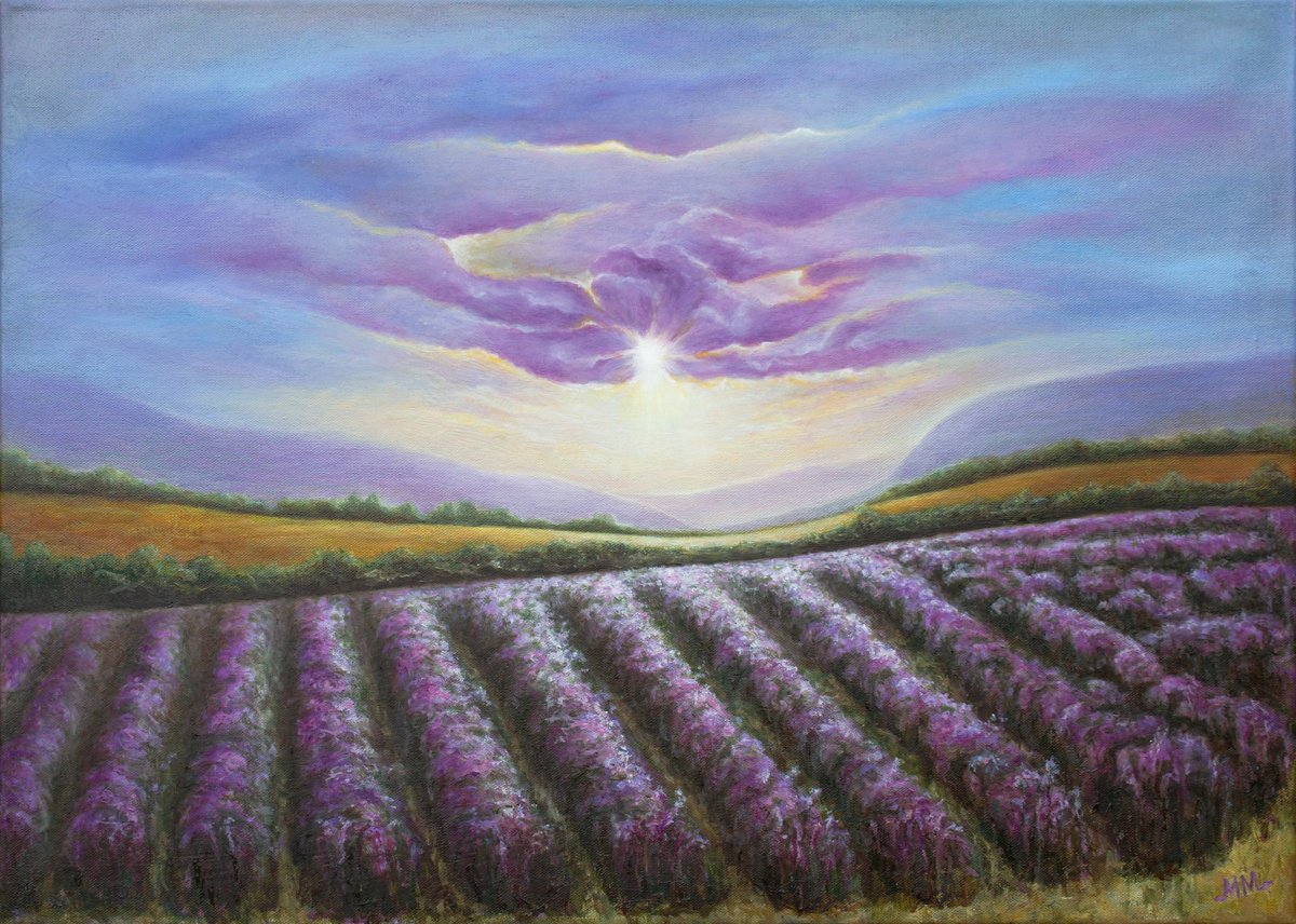 Lavender Fields Forever by Mila Moroko