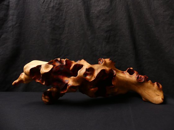 Emerging Phoenix No.2 (2025)