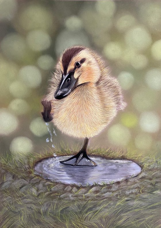 Duckling