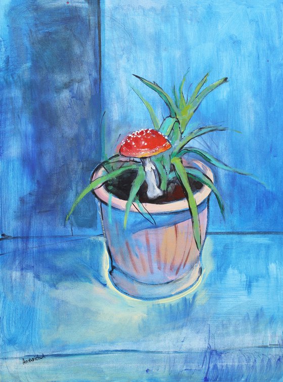 Amanita and Aloe. Relationship