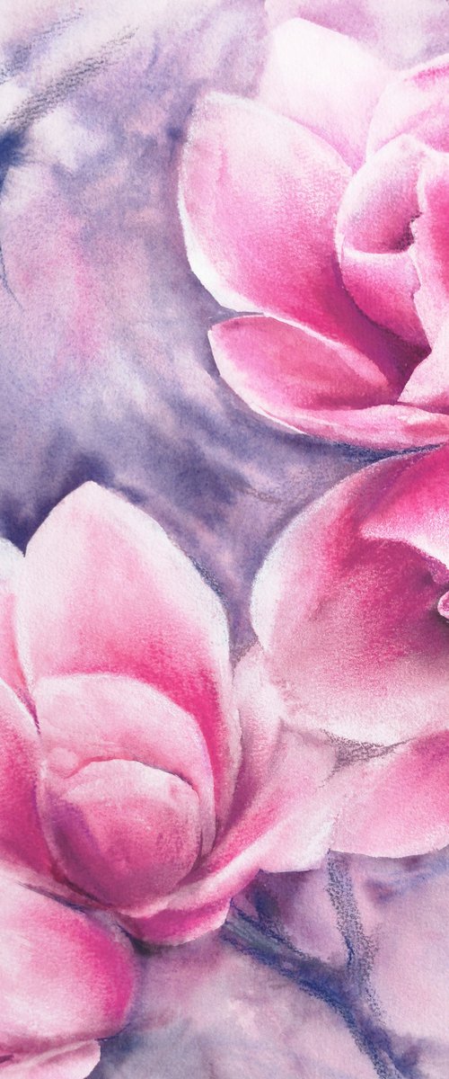 Magnolia blooming, pink flowers watercolor painting by Olga Grigo