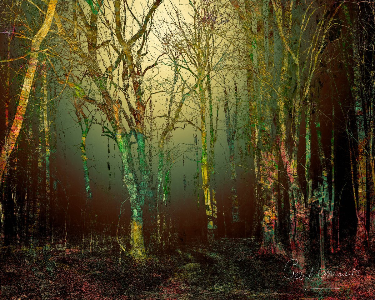 Impressionistic Landscape Photograph By Geert Lemmers Fpa, 39 X 31, Woodland 8972 23, Original Artwork