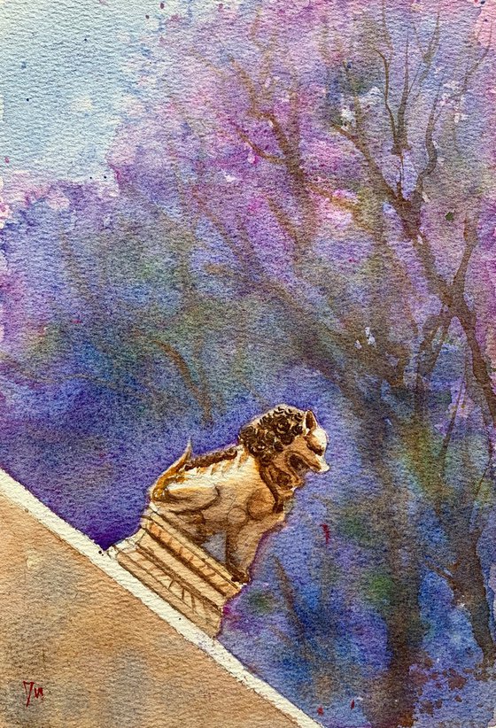 Lion under jacaranda