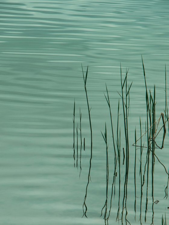 The Patience of Water