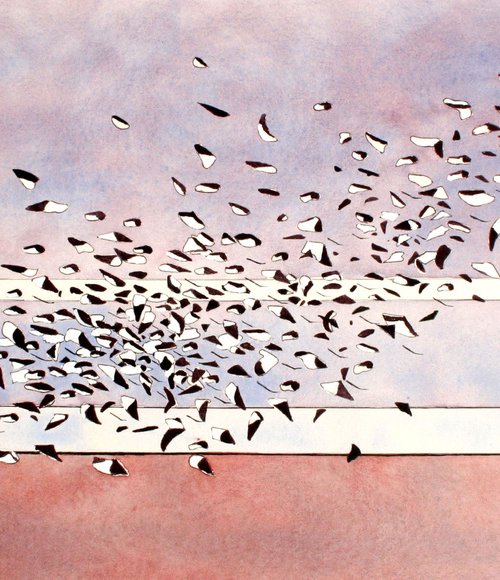 Winter flocking Avocets by John Horton
