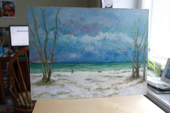 Winter Walk With A Dog