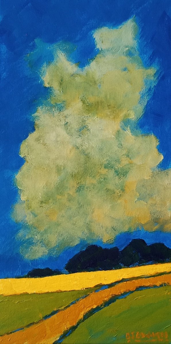 Impressionistic Landscape Acrylic Painting By David J Edwards, 10 X 20, A Passing Cloud, Original Artwork