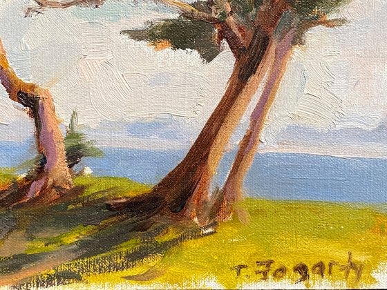 Cypress Trees plein air sketch