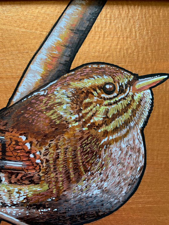 British Garden Birds series - Wren